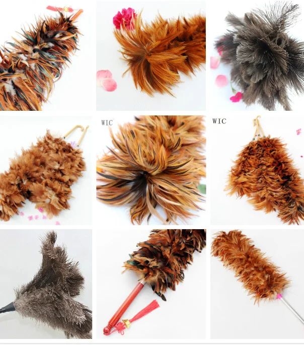feather duster