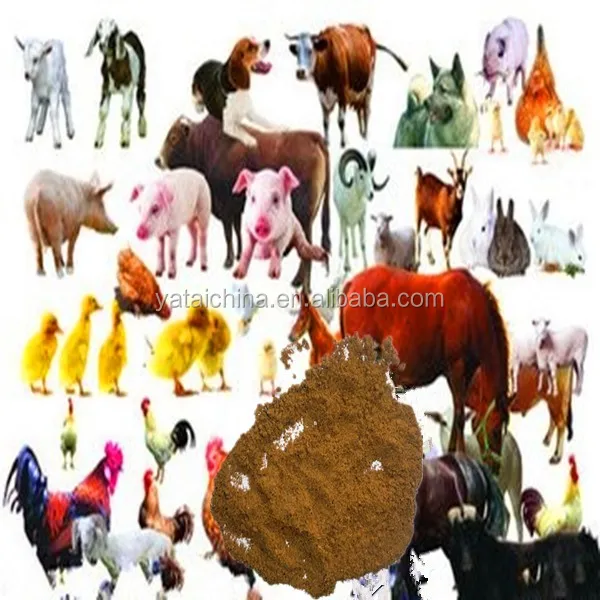 fish meal1 60%_