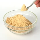 Native chicken flavor seasoning powder,chicken flavour