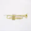 Brass student trumpet Wholesale Price Trumpet from China (FTR-100L)