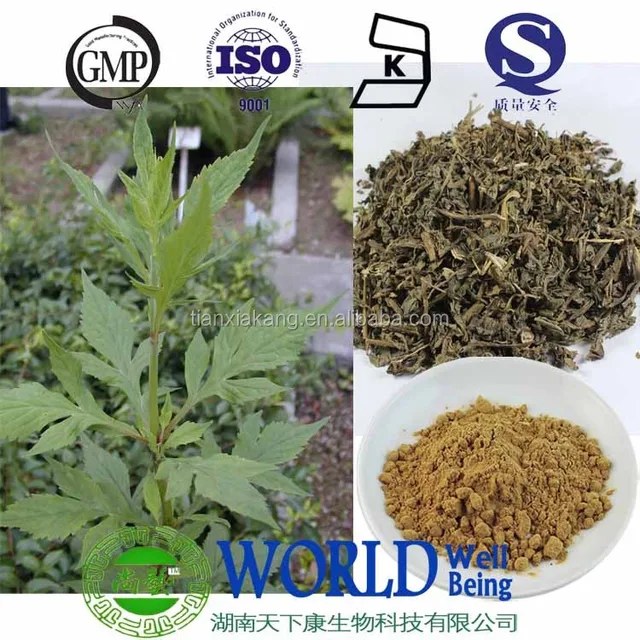 field pennycress extract patrinia scabiosaefolia link extract