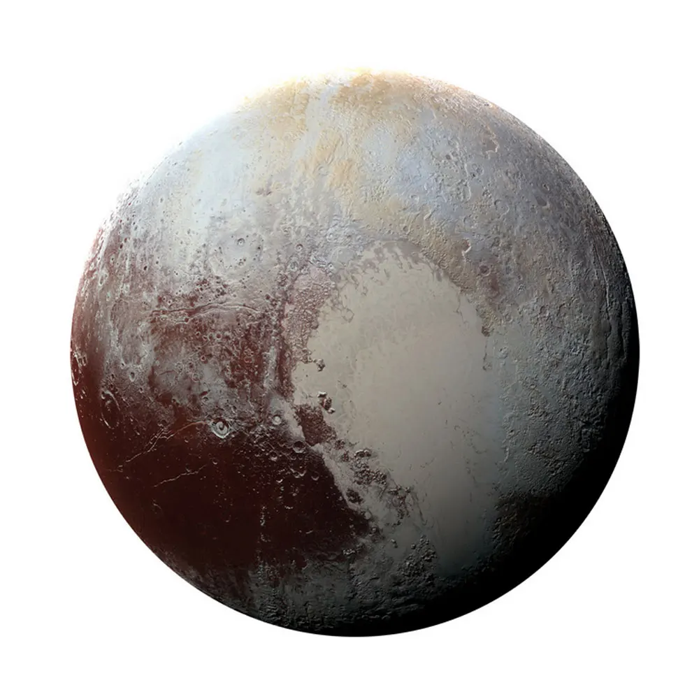 C1-8786-1