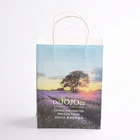 Customized Printed Colorful Shopping Logo Gift Paper Bag With Handle Ropes