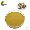 100% pure ginger extract organic Zingiber Officinale Root powder