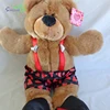 Valentine Teddy Bear 20" READY FOR LOVE Brown Plush Stuffed Target 2018 Boy Girl