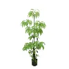 /product-detail/artificial-green-adiantum-fern-tree-with-black-plastic-pot-palm-floor-house-plant-60841112458.html