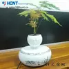 /product-detail/cheap-levitating-mini-bonsai-tree-with-ceramic-bonsai-pots-60540314482.html