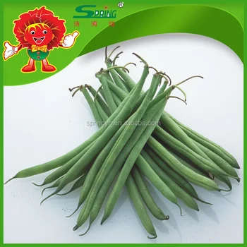 fresh string bean green beans fresh vegetables