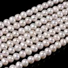 Cultured White Freshwater Pearl Potato Beads