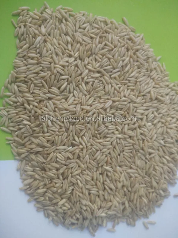 wholesale rolled oats in stock