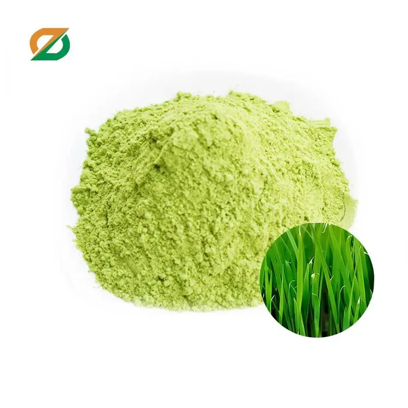 hot selling green organic wheat grass juice instant wheat drink