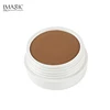 Top quality shining 10 color concealer shimmer highlight creamy shimmer cream glow kit