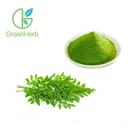 100% Natural Blood Circulation-activating Fresh Moringa Leaf Powder