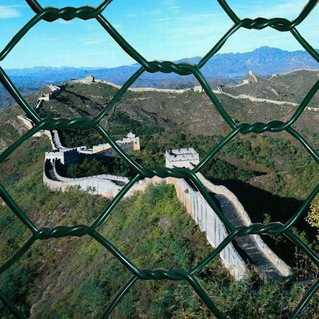 Hexagonal wire mesh3.jpg