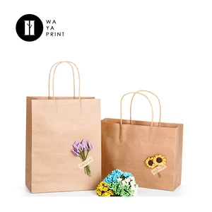 custom paper twisted handle kraft brown paper bag with dry