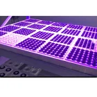 Custom OEM ABS PP Plastic Hydroponic Trays Plant Tray Deep Grow Tray