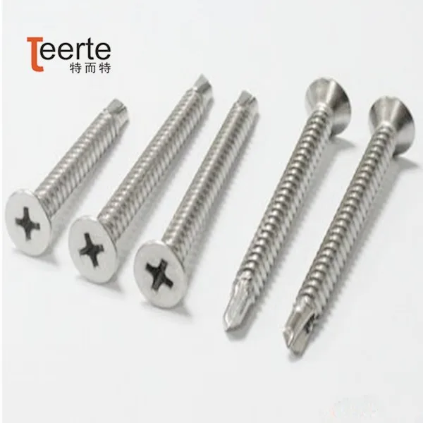 Inox decorative wall mounting screw