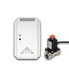 Home LPG Gas Leakage Detection Alarm for System Safe Device