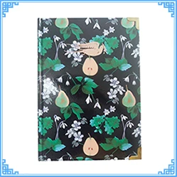 hardcover noteboo journals.jpg