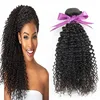 Available for both retail and wholesale afro kinky curly human hair weave peruvian hair bundles