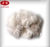 /product-detail/polyester-stuffing-hollow-conjugated-polyester-fiber-price-60353559550.html