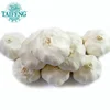 /product-detail/wholesale-alibaba-normal-white-garlic-price-black-garlic-60436279389.html