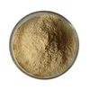 Supply astragalus root extract Astragalus Polysaccharoses