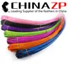 ZPDECOR Wholesale Dyed Colorful Ostrich Quill Feathers for Hat Accessional