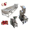 Industrial lotus seed blueberry mulberry white turnip carrot tomatoes strawberry orange grape apple mini juice production line