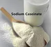 Sodium Caseinate Manufacturer in China