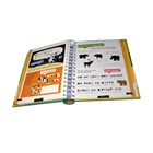 2018 New Arrival W-O binding spiral bound book printing children's children story books