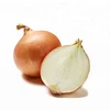 7cm Maturity 100% Common Fresh Red Yellow White Onion Importers Malaysia