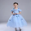 /product-detail/halloween-costume-cosplay-clothing-girls-christmas-princess-dresses-baby-tutu-dress-60697745567.html