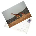 2019 New Custom design 3D PET Gift Card Printing 3D Lenticular Souvenir Postcard