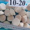 /product-detail/high-quality-frozen-scallop-meat-1311258615.html