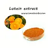 High Quality GMP standard Marigold Extract Lutein/Zeaxanthin/ Tagetes erecta Extract
