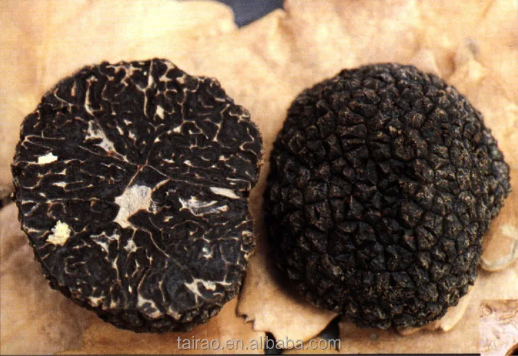 Truffle packaging box truffle price best truffles mushrooms price