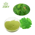 Moringa Powder for Sale from GMP Certified Manufacturer