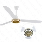 Popular design new technology fancy ceiling fan with brushless dc motor