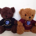High quality plush Teddy Bear with T-Shirt