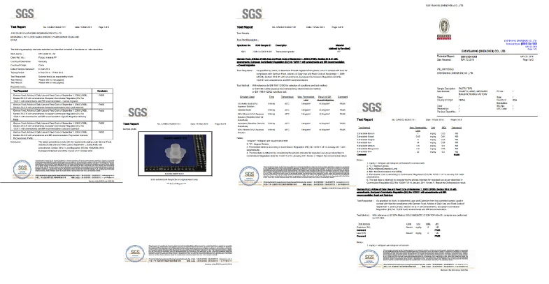 SGS Certifications