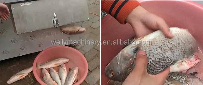 fishscales,weighingscales automatic fish scales removing machine with reasonable price