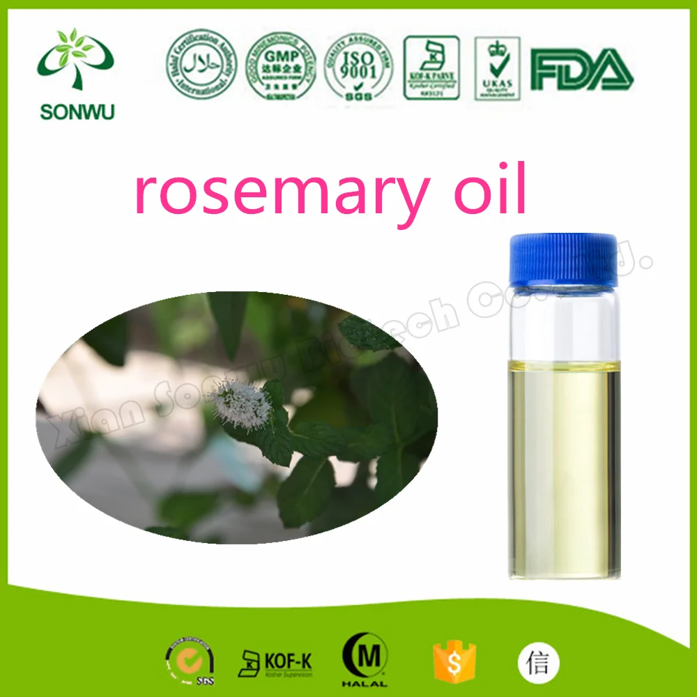 Rosemary Essential Oil For Hair Rosemary Essential Oil For Hair