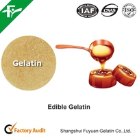 Halal Gelatin Powder Bulk Gelatin Powder