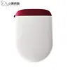Electric remote control Bidet intelligent bidet sprayer set smart warm toilet seat cover