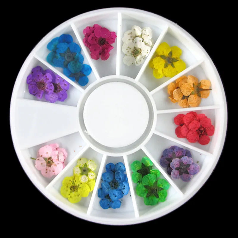 12 Colors 36pcs Beauty Real Dry Dried Flower for UV Gel Acrylic Nail Art Tips Decoration Fashion New Hot Rhinestone 
12 Colors 36pcs Beauty Real Dry Dried Flower for UV Gel Acrylic Nail Art Tips Decoration Fashion New Hot Rhinestone