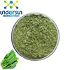 /product-detail/wholesale-spinach-extract-spinach-powder-5-1-10-1-60145456185.html