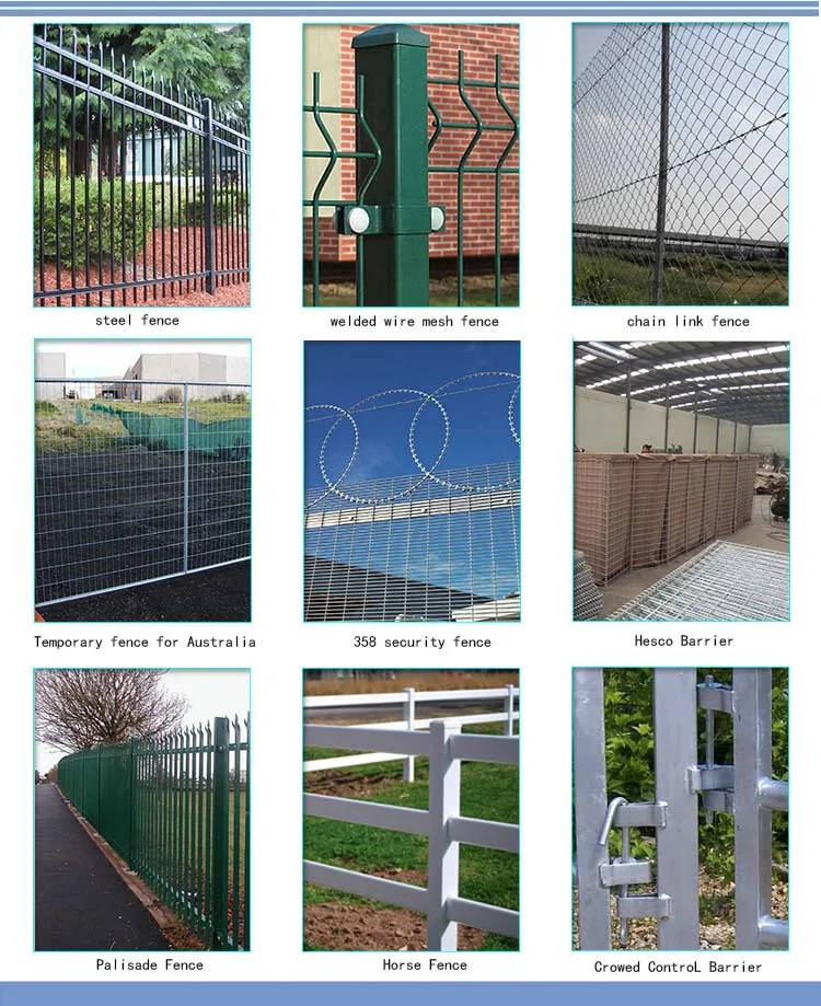 More Products for your choice.jpg