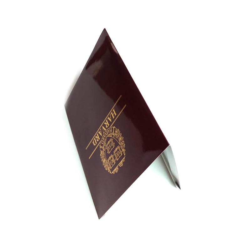 Custom Printed design paper pocket file folder with clips (1).jpg