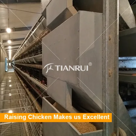 Chicken feeders used in poultry processing equipment